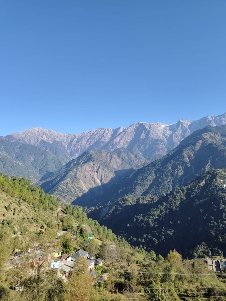 Natures Gentle Embrace